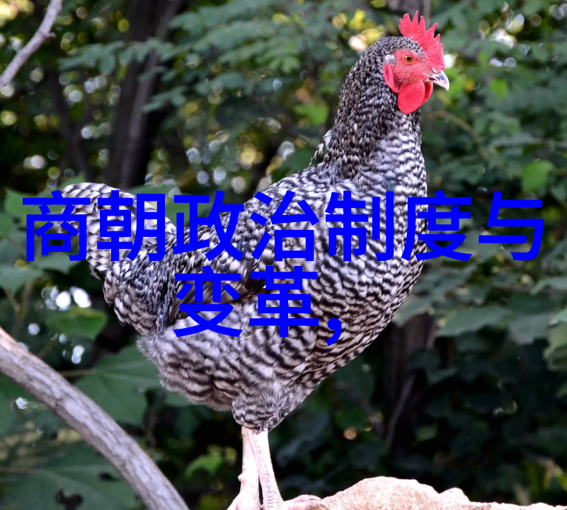 大明为什么会把朱祁镇尊称为战神