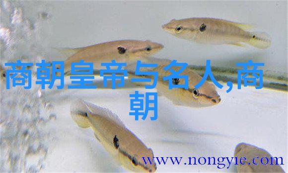 神秘的传说民间故事中的幻影与梦想