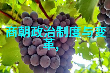 明朝的人口结构是怎样的