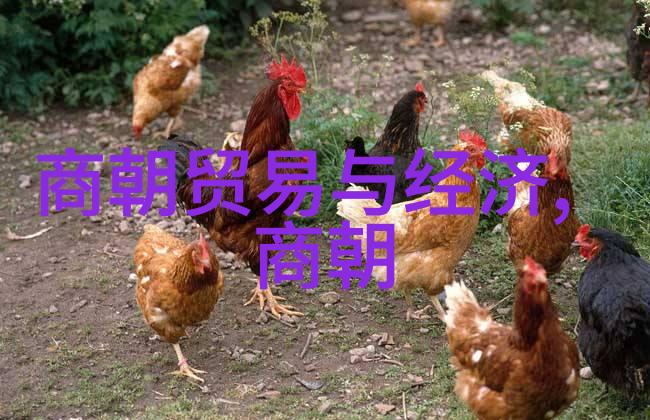 遥望明朝风云追忆君子行藏试析刘府主与刘公师间的情愫