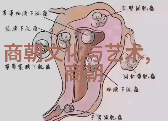 朴不花东汉社会列表排名表