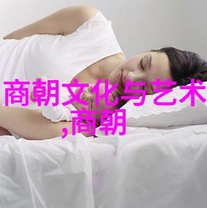 文化盛世转变为民族危机万历时期到清初的社会演变