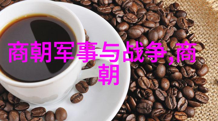 李抱一驾驶中国战斗机