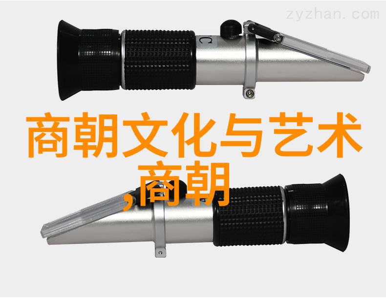 光绪之前的帝位交替历史的裂隙与王权的重铸