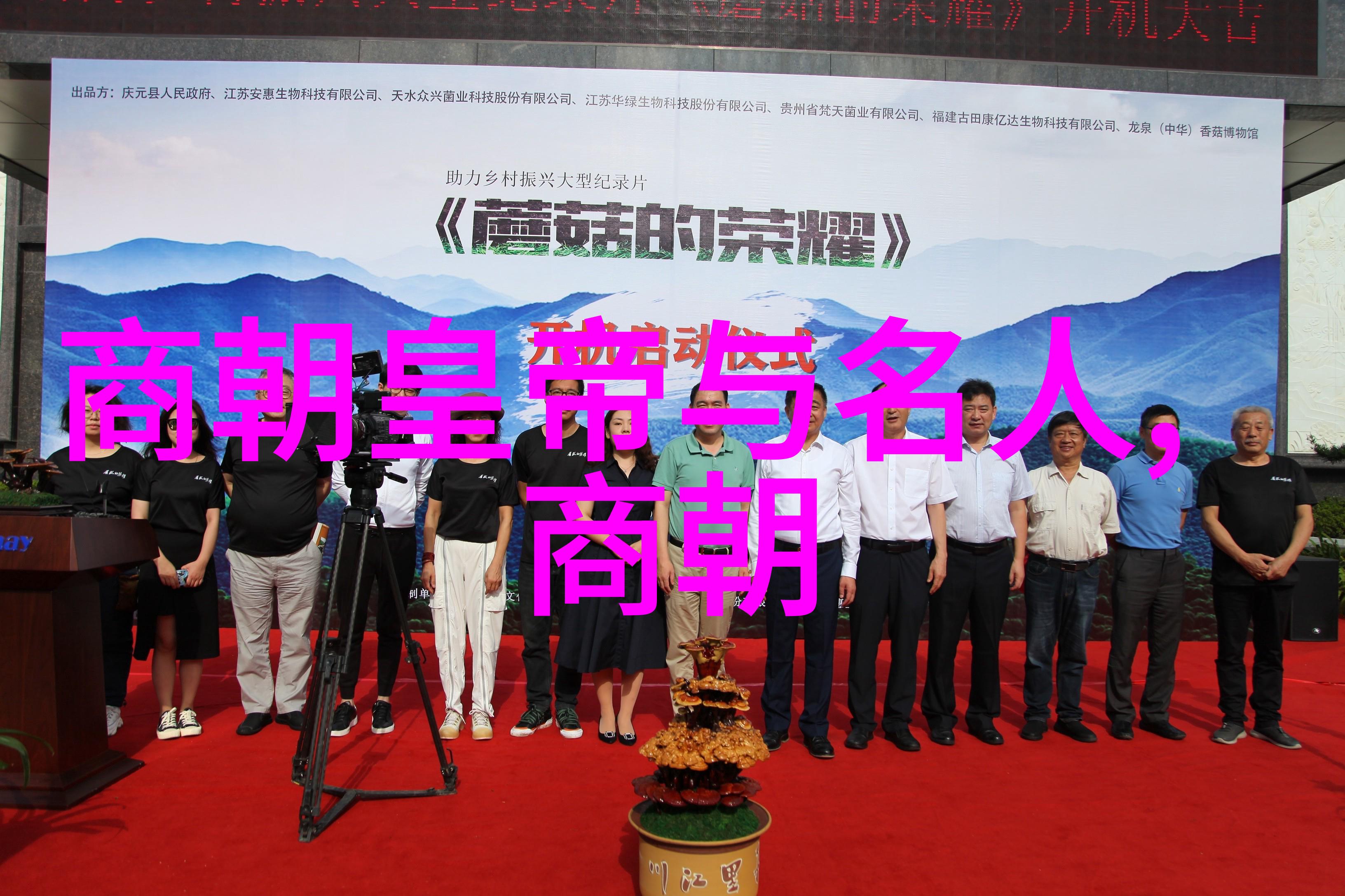 明朝风云锦衣卫的孤儿
