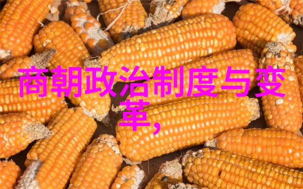 努尔哈赤的遗憾为什么多尔衮没有成为清朝的第一位皇帝