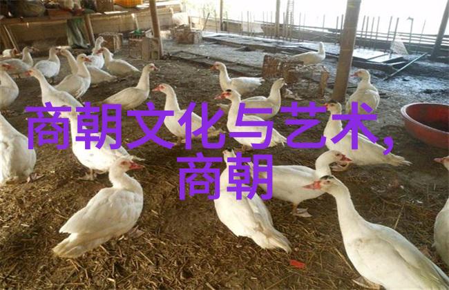 元代的科举制度人才培养与社会流动机制