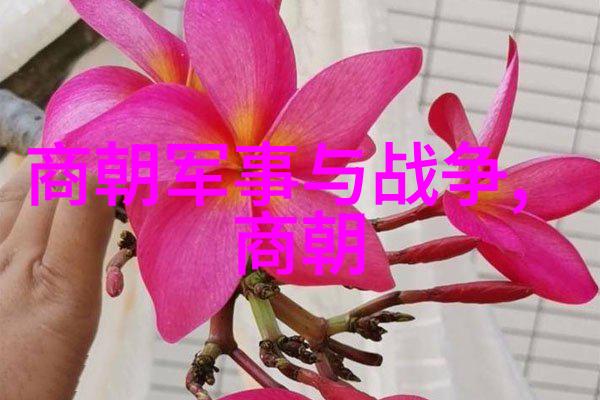 李洪海书法墨迹字帖有哪些