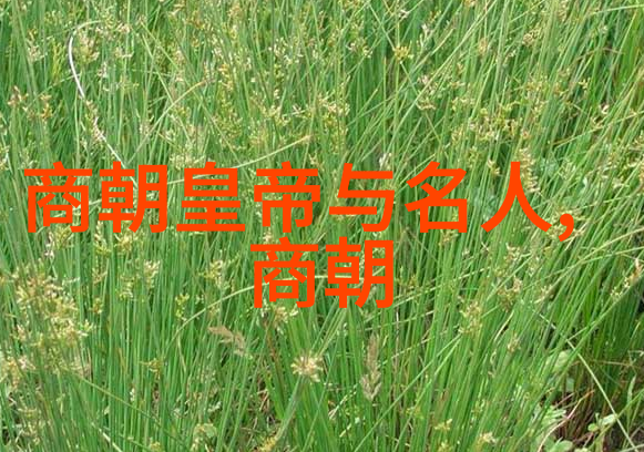 明朝那些事大学生眼中的历史启示