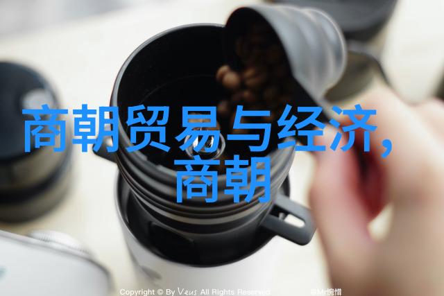 明朝历代帝王年表与年龄考察时间轴上的生长与统治