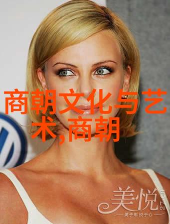 专家们为何向往宋朝历史的魅力与现代启示