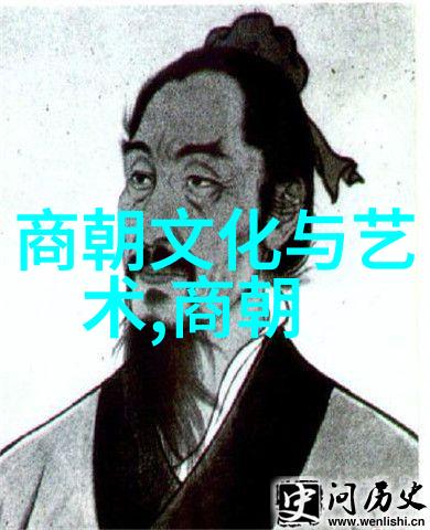 历史与文化-穿越时空探秘中国各朝代的兴衰盛衰
