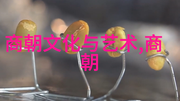 明朝辉煌与暗影龙盛虎衰的反差篇