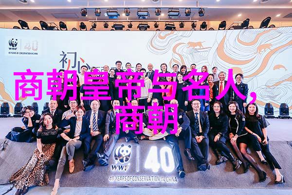 明朝那些事儿百科龙凤呈祥的宫廷秘密
