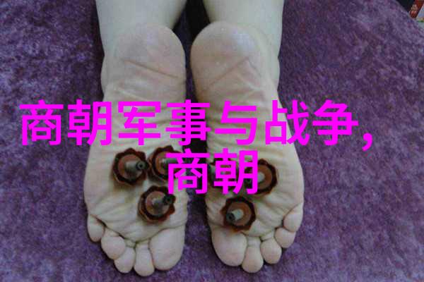 明朝历史回顾重建帝国至南京易主的重大转折点