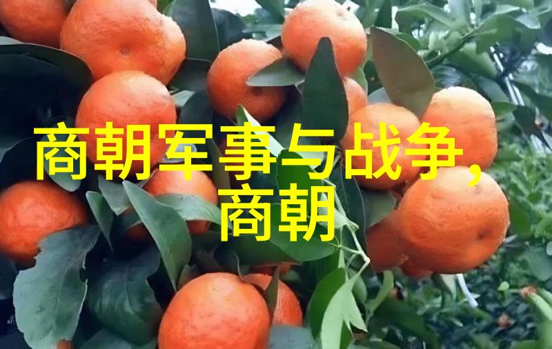 夏朝之前的古代文明夏商周三朝
