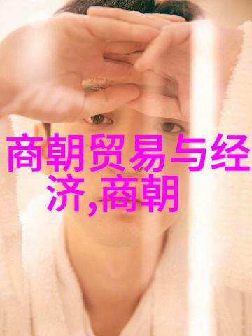 明朝年号考辨史实与文献的互动解读