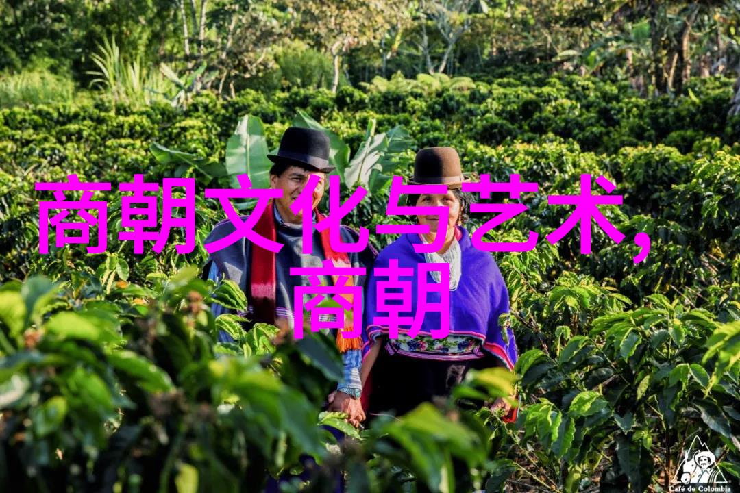 君王后三国历史人物的智慧之光公元前249年