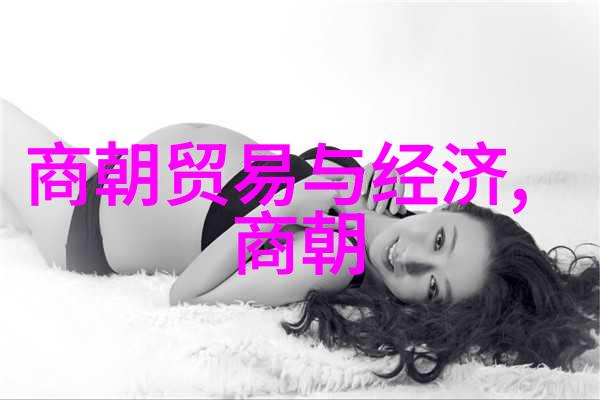 明朝的阴影恐怖历史与宫廷秘密