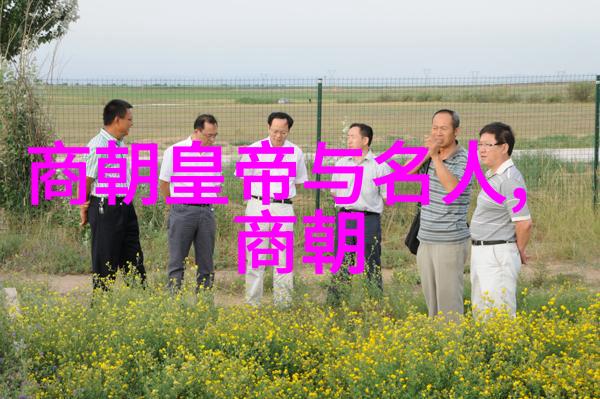 金兵南下宋朝灭亡背后的历史原因分析