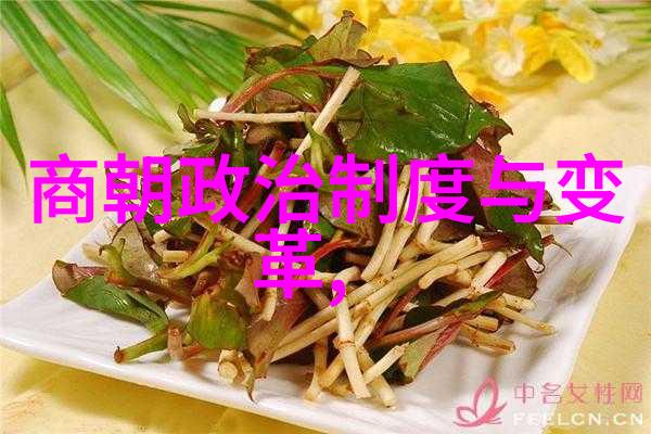 康熙皇帝的悲剧揭秘雍正毒手背后的宫廷阴谋