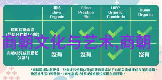 探索中国古代朝代变迁的视频之旅