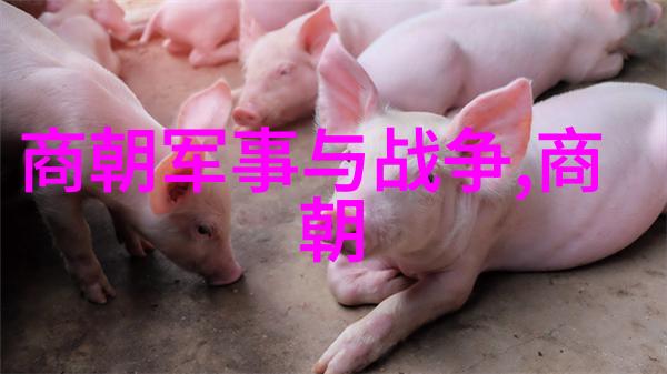 明朝那些事为啥下架俺们都好奇呢我是怎么不明白的明朝那些事儿为什么要被迫下架
