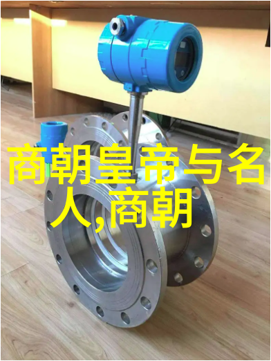明朝历史被丑化背后的深层原因探究明朝史学研究文化歧视政治宣传