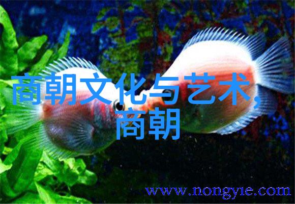宋代时代特征总结-中兴盛世宋代文化经济与政治的辉煌