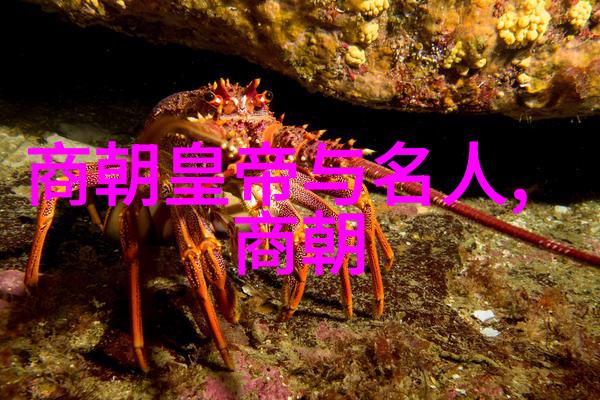 两代英才各有千秋探究刘伯温与李善长的人生轨迹