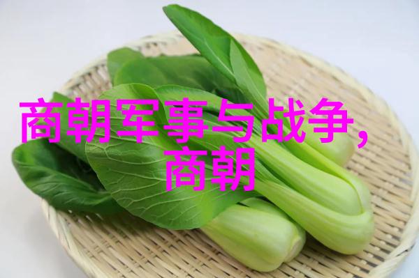杨沔上海京剧院秦香莲的研究与欣赏