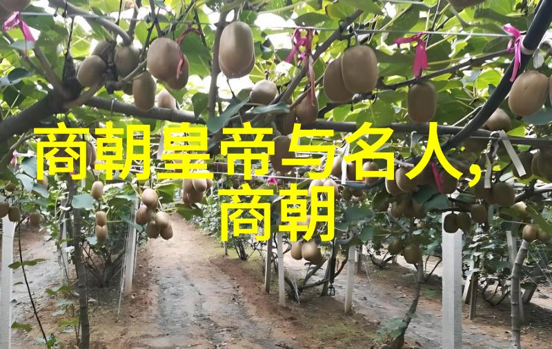 明朝末年朱允炆与朱棣对比分析明朝后期皇帝能力对比