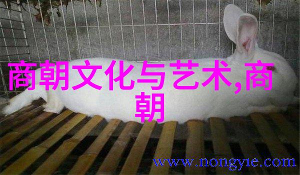 中国上下5000年朝代顺序我国的历史长河从黄帝到清朝一统天下的五千年