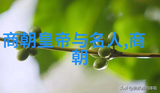 从順治到康熙年间大清朝是怎样实现从混乱向稳定的转变的有什么关键因素呢