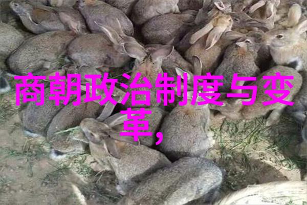 明末群雄割据时代的三位英雄袁崇焕孙传庭与段世庄