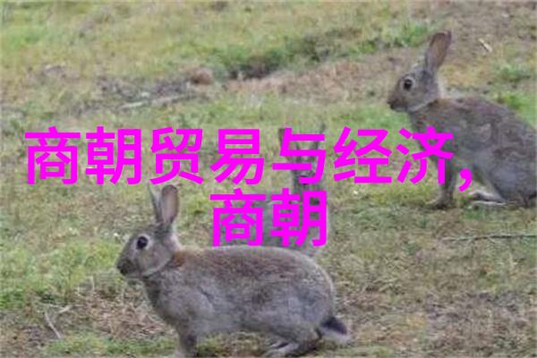 一听就懂王更新主持的明朝那些事儿MP3版解析