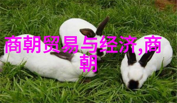 武丁中兴商朝盛世时期