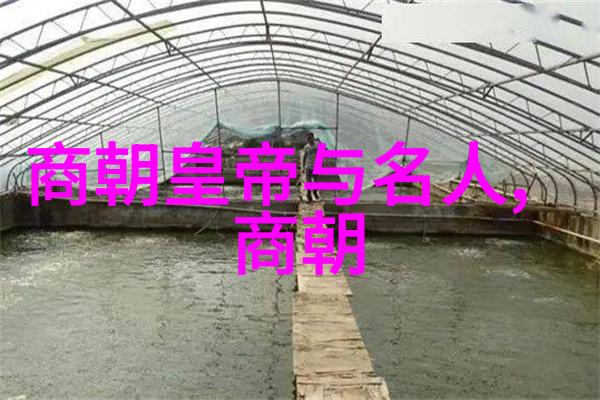 清朝历史速览一分钟穿越时空的旅程