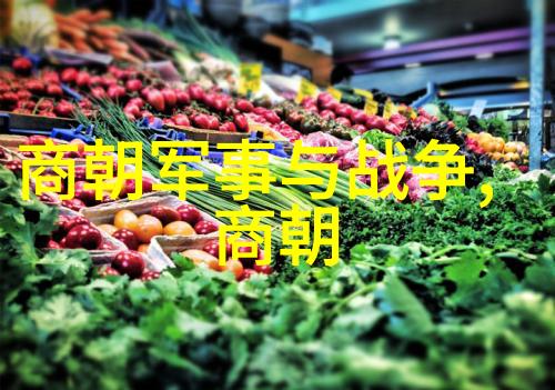 满清之祖努尔哈赤与对中国历史的影响