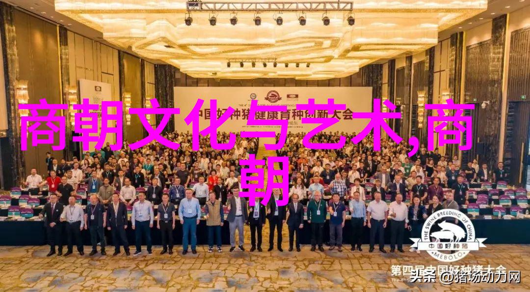 明朝的史实-揭秘明代政治与文化真实历史背后的故事
