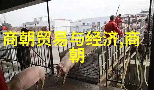 元朝繁荣都市文化金庙会绣品艺术饮食美食