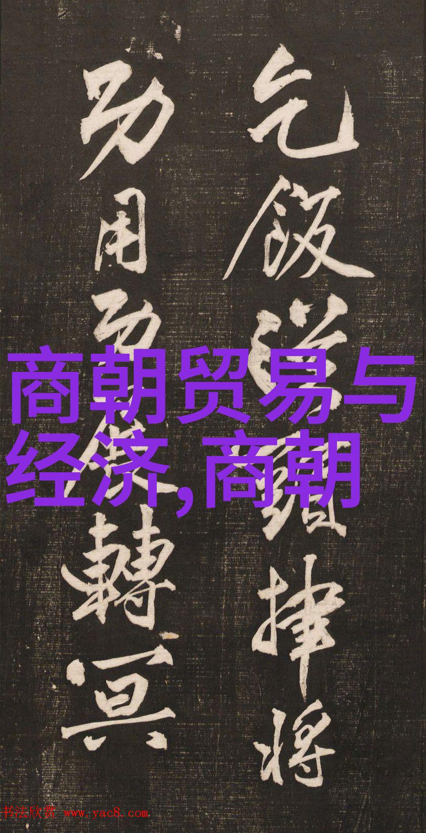 明光之下影暗交织英宗朱祁镇的无耻篇章