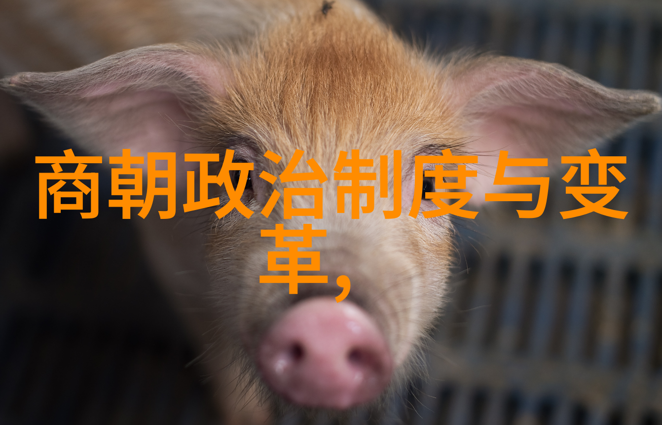 中国朝代顺序和帝王名字我来告诉你一段历史上的长长故事从炎黄子孙的脚步到中华文明的繁荣
