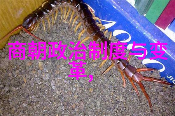 明朝那些事儿目录顺序我来给你一份清单穿越时空的奇遇