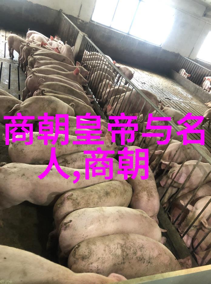 历史课本丑化明朝我为何不信任那些只描绘明朝黑暗的历史书