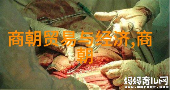 明朝历代揭秘龙凤盛世的荣耀与变迁