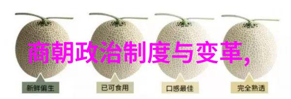 宋代风华文治科技与艺术的辉煌时代特征
