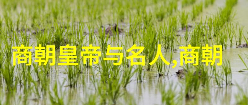 仲由前542年前480年七国之王是谁在社会上如何影响