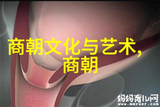 揭秘中国历史最长王朝秦汉至清的兴衰与辉煌