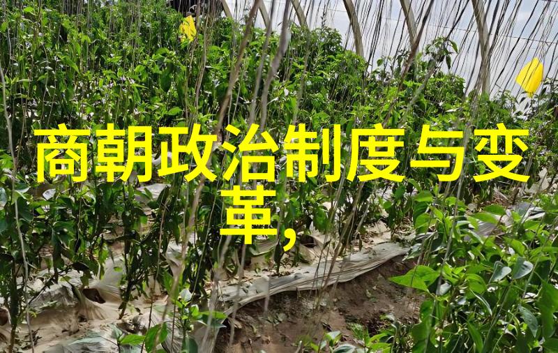 元朝年表顺位年号与年代的考索